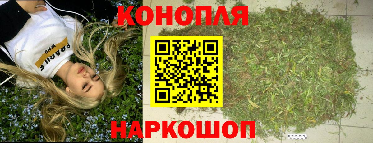 Каннабис план  Бошки марихуана индика  Камышин  Вход с VPN  МАРИХУАНА сатива 